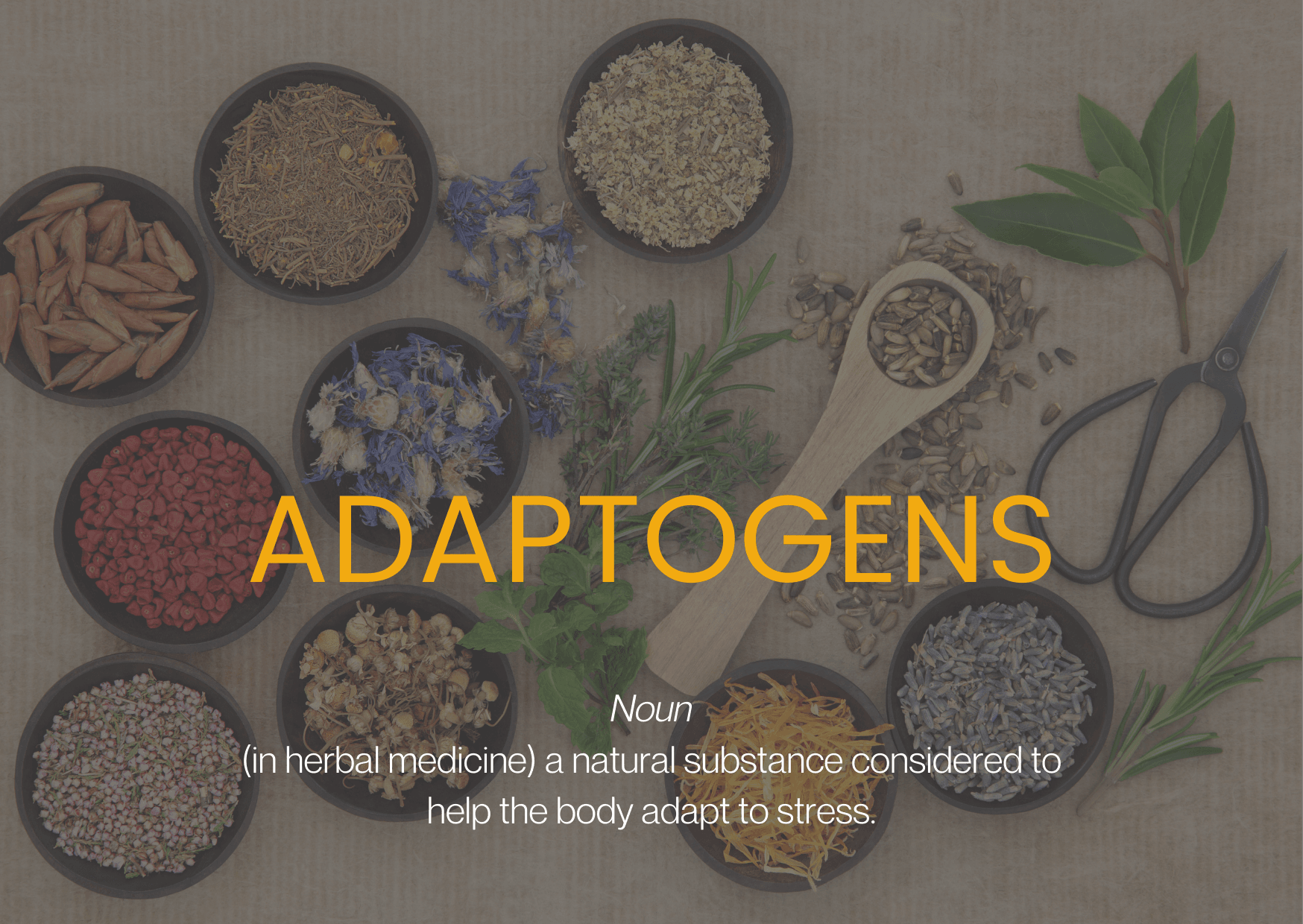 Adaptogens – Can They Relieve Stress? - Savvy Beverage