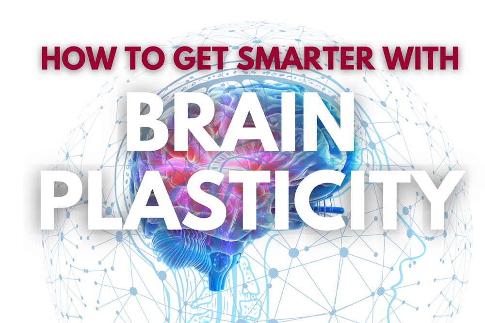 Brain Plasticity