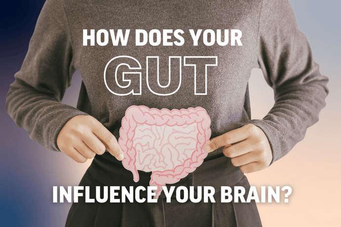 The Gut Brain Connection