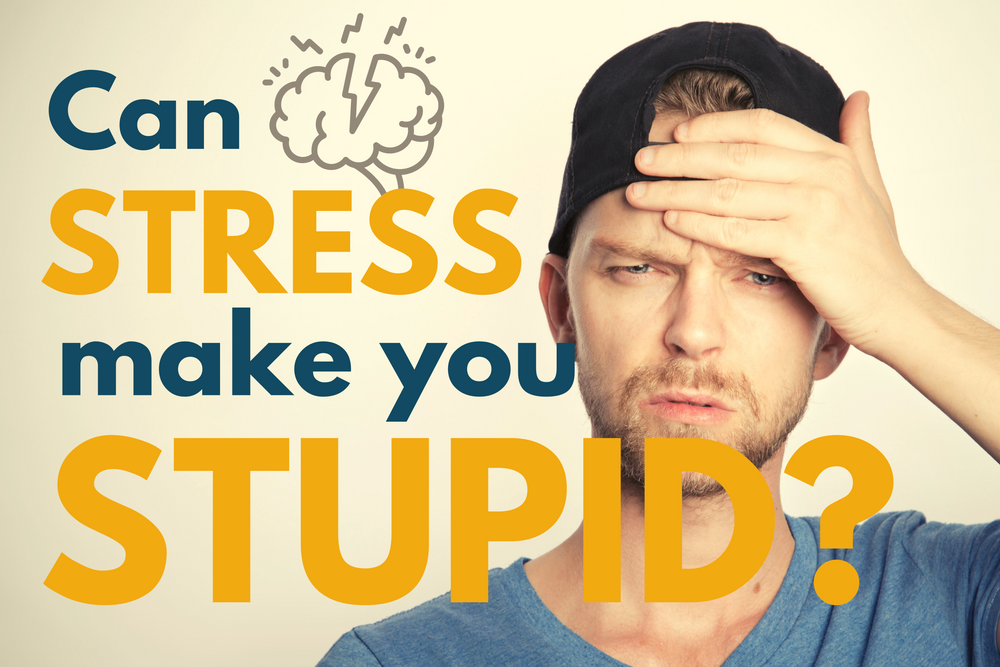 Can stress make you stupid